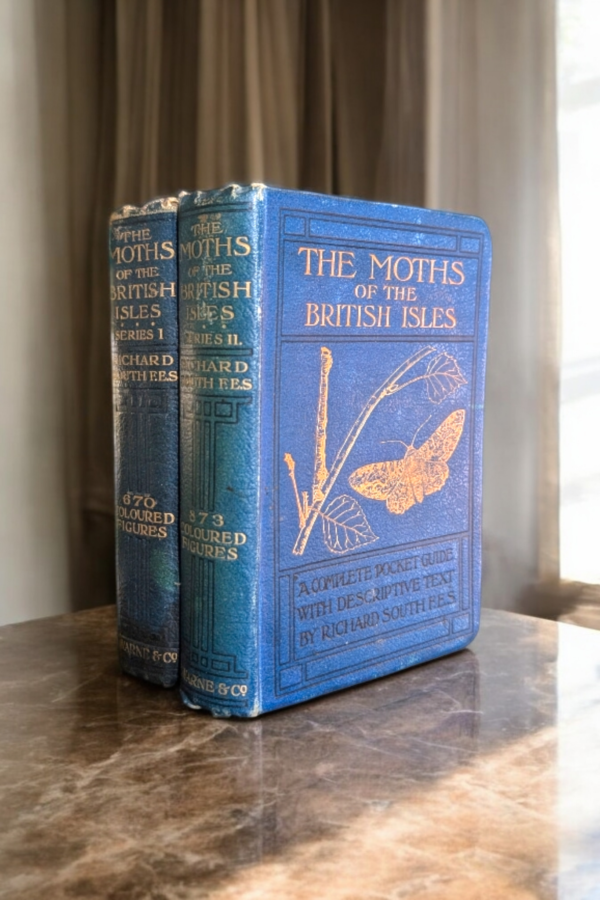 The Moths Of The British Isles Series 1&2 - Richard South F.E.S - Image 4