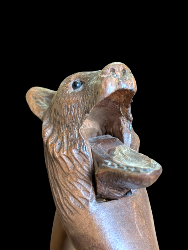 Early 20th Century Black Forest Carved Bear Nutcracker - Image 3