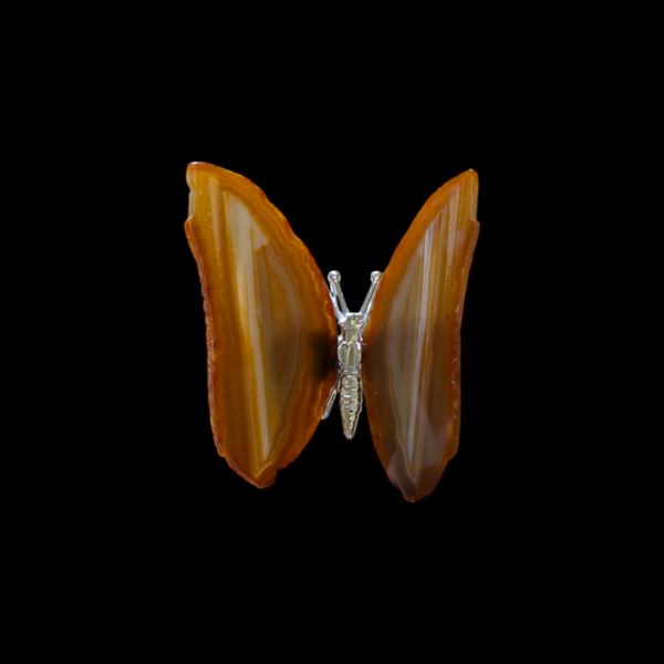 Large Agate Butterfly