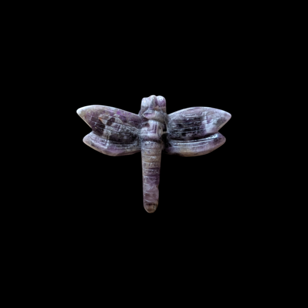 Amethyst Dragonfly