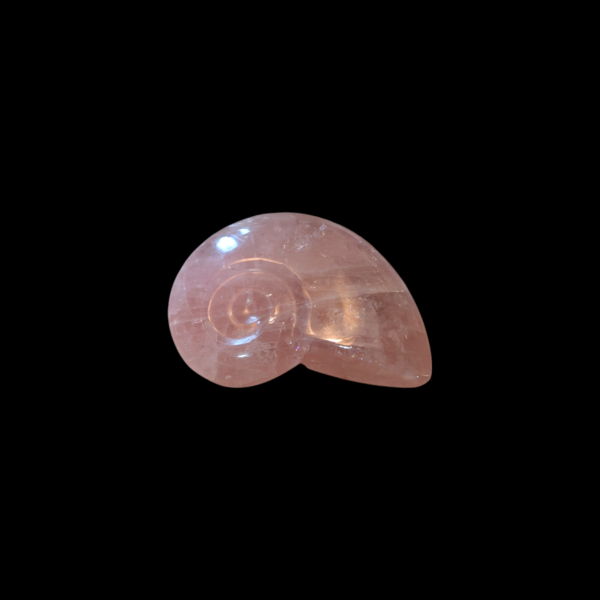 Rose Quartz Fossil