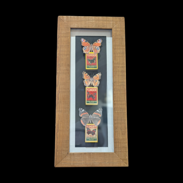 Frames Butterfly Matchbox Picture