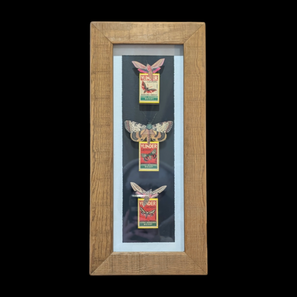 Framed Butterfly Matchbox Art