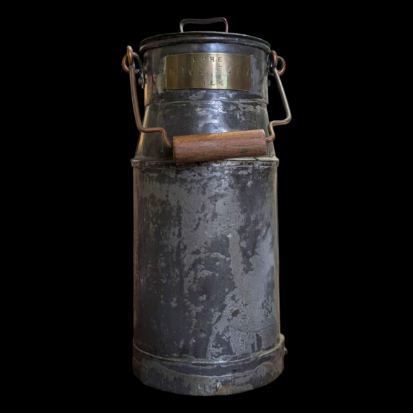 Pure Dove Farm Milk Churn