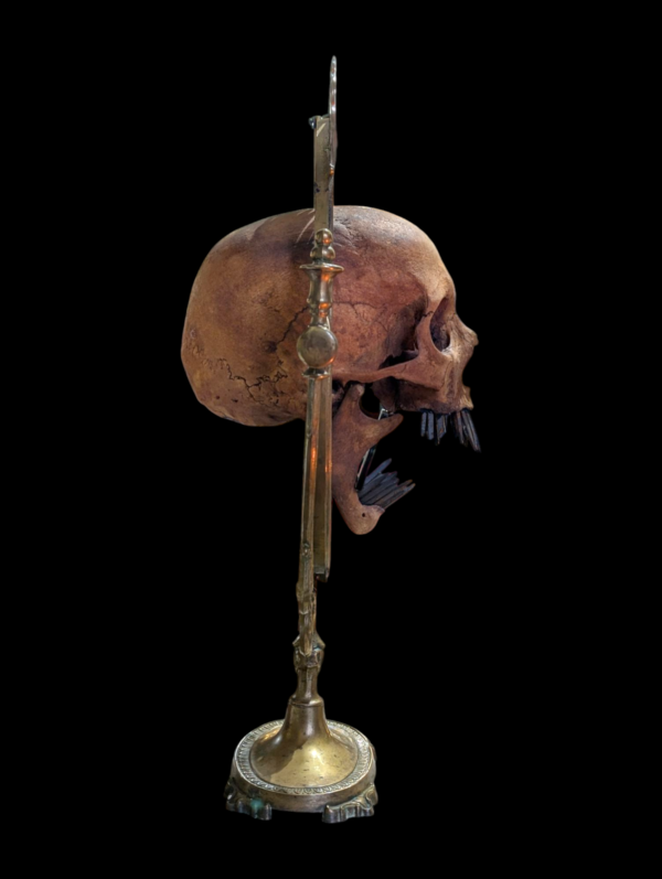 Real Human Altar Skull With Coffin Nail Iron Teeth - Image 4