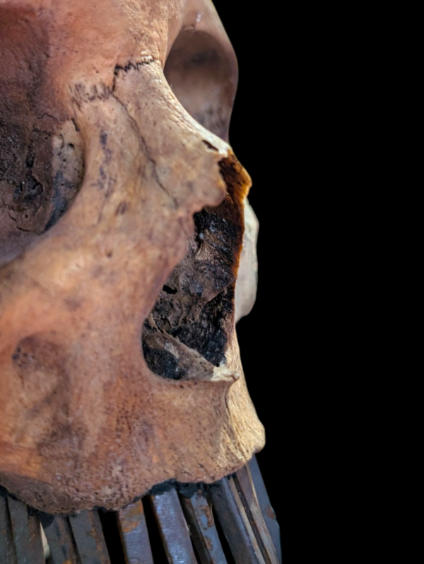 Real Human Altar Skull With Coffin Nail Iron Teeth - Image 7