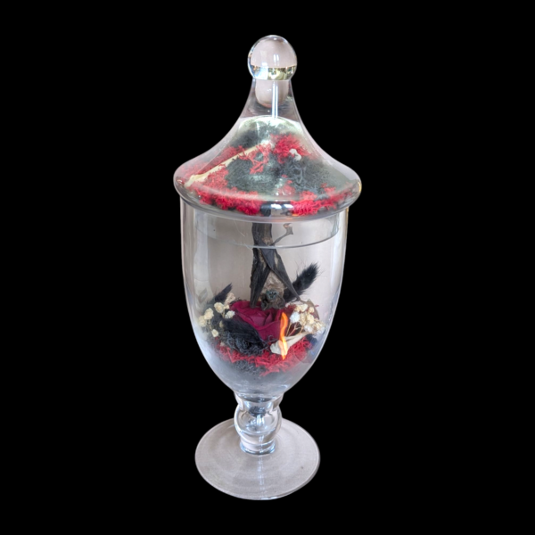 Hanging Taxidermy Bat In Original Glass Apothecary Jar