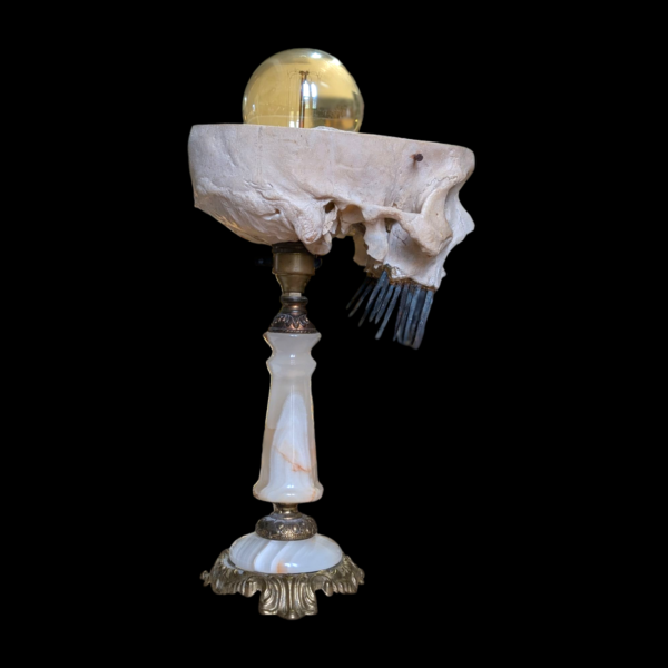 Human Medical Skull Lamp With Coffin Nail Teeth On An Onyx & Brass Base