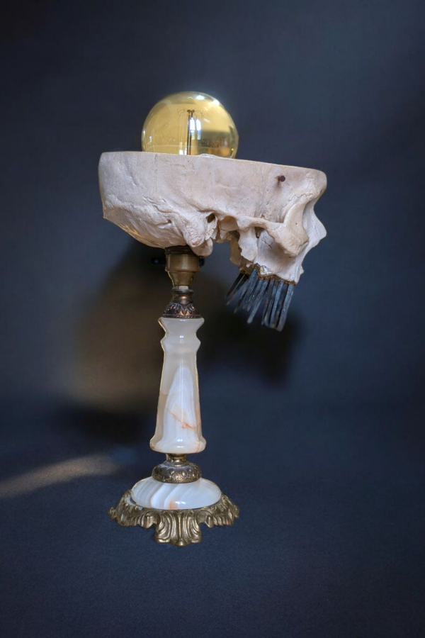 Human Medical Skull Lamp With Coffin Nail Teeth On An Onyx & Brass Base - Image 2