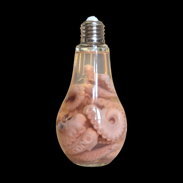 Octopus Wet Specimen In Glass Bulb