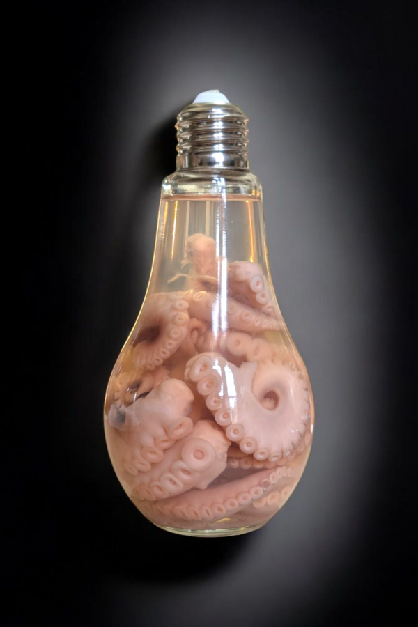 Octopus Wet Specimen In Glass Bulb - Image 2