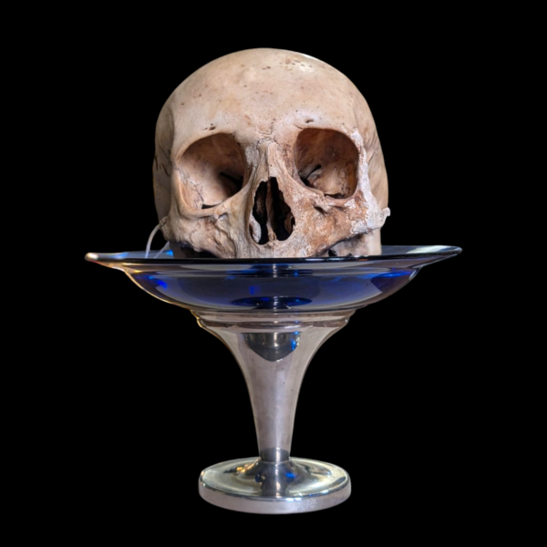 Cobalt Blue Glass & Chrome Skull Pedestal