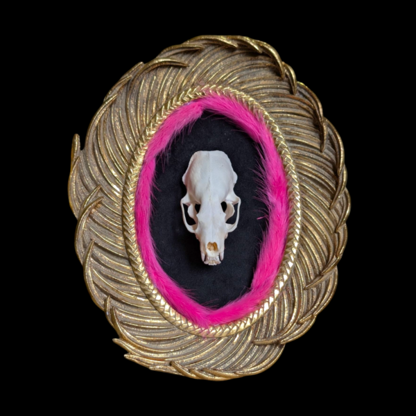 Gilt Framed Mink Skull