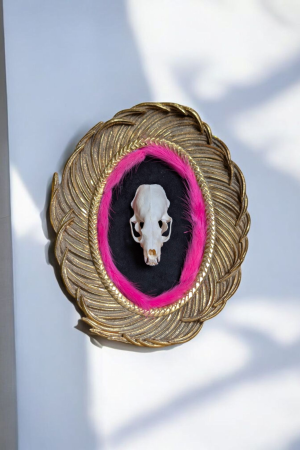 Gilt Framed Mink Skull - Image 3