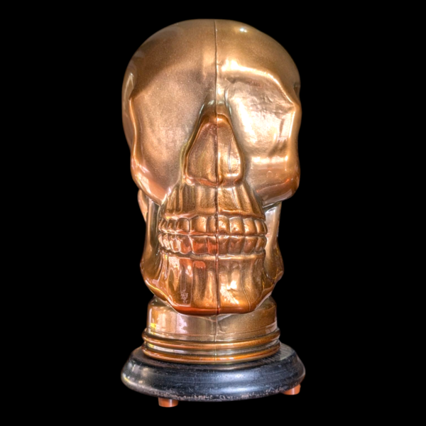 Glass Skull Lamp - Image 3