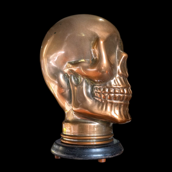 Glass Skull Lamp - Image 4