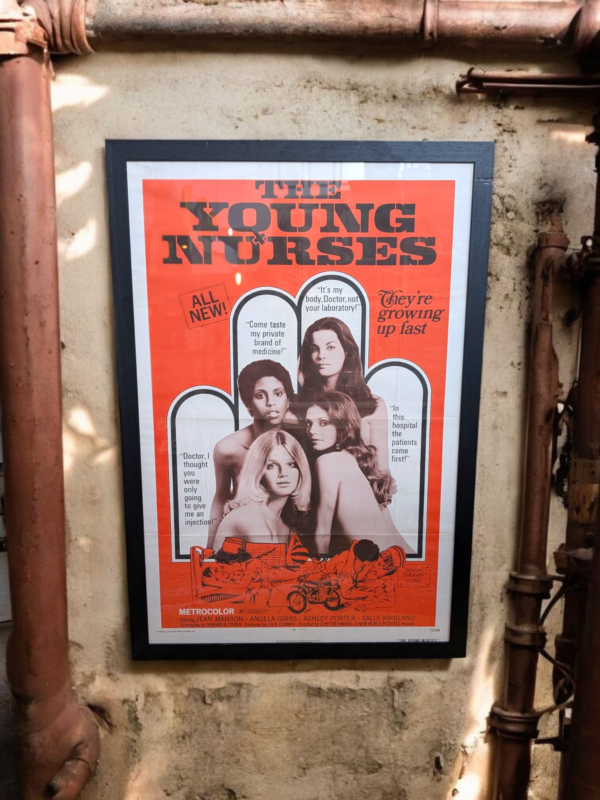 Original 1973 The Young Nurses Exploitation Film Poster – Framed - Image 3