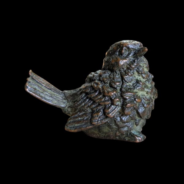 Bronze Robin