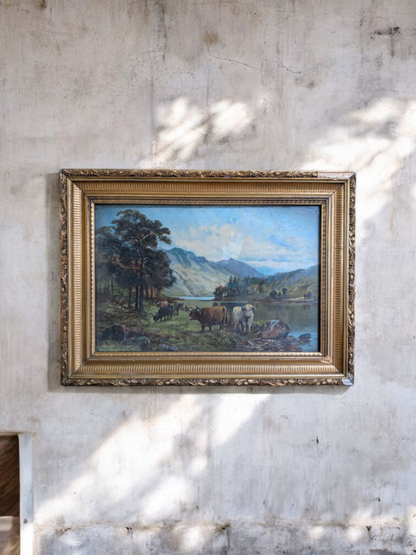 Original 1909 Highland Cattle Oil Painting by C.W. Middleton – Gilt Framed (57.5cm x 43cm) - Image 2