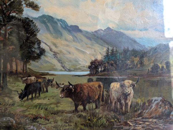 Original 1909 Highland Cattle Oil Painting by C.W. Middleton – Gilt Framed (57.5cm x 43cm) - Image 5