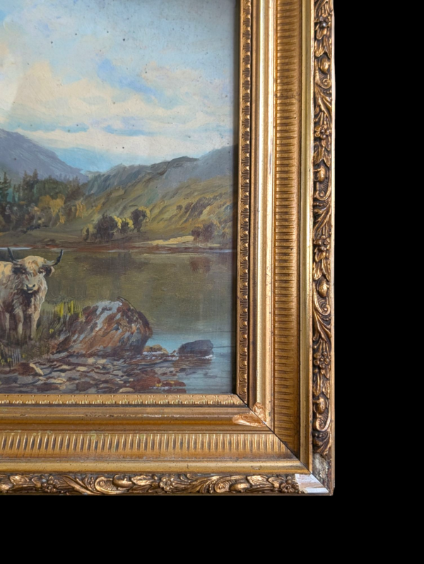 Original 1909 Highland Cattle Oil Painting by C.W. Middleton – Gilt Framed (57.5cm x 43cm) - Image 3