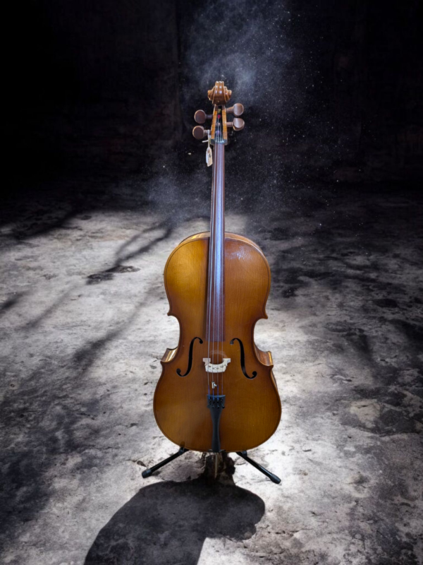 Vintage Czech Full-Size Cello with Bow and Case – Rich Warm Tone - Image 4