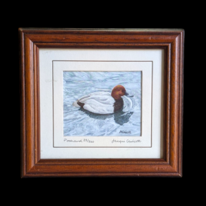 Framed Duck Painting By Jacqui Chilcott