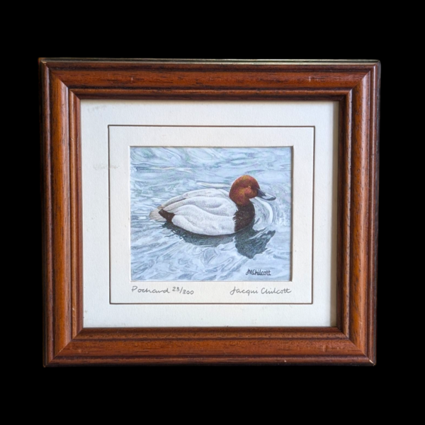 Framed Duck Painting By Jacqui Chilcott