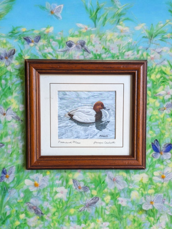 Framed Duck Painting By Jacqui Chilcott - Image 2