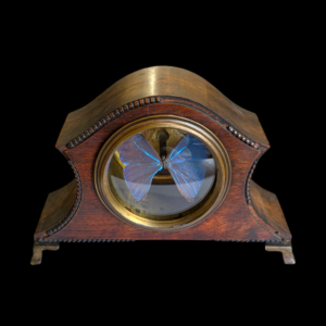 Blue Morpho Achilles Butterfly Taxidermy in Antique Clock Case
