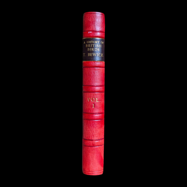 1816 A History of British Birds Vol. I by Thomas Bewick – Fine Leather Rebind