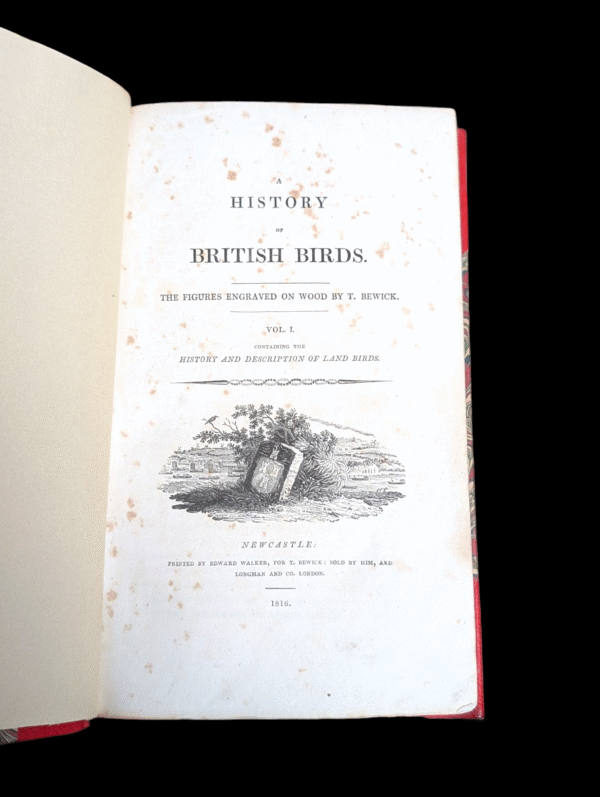 1816 A History of British Birds Vol. I by Thomas Bewick – Fine Leather Rebind - Image 4