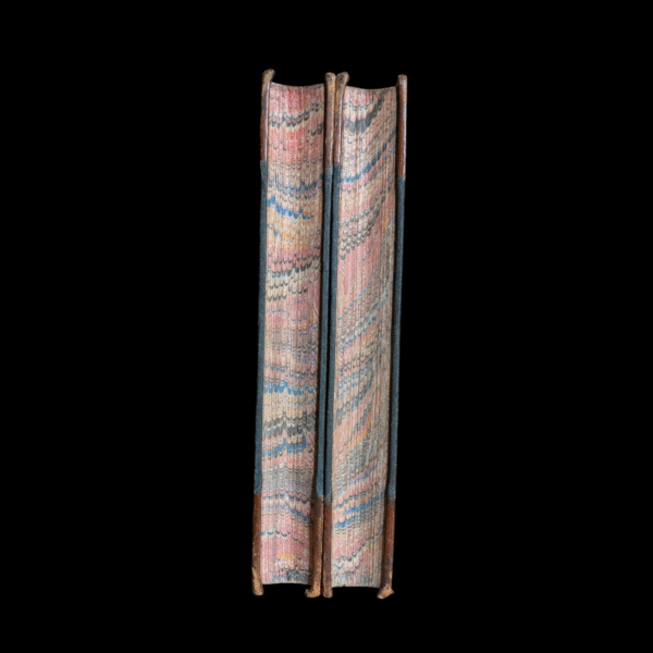 The Works of Robert Burns – 1865 Two Volume Set – Half Leather Bindings - Image 3
