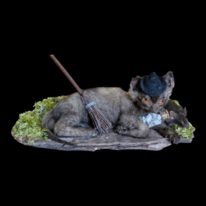 Taxidermy Witch's Familiar Kitten and Mouse – With Potion Bottle & Besom