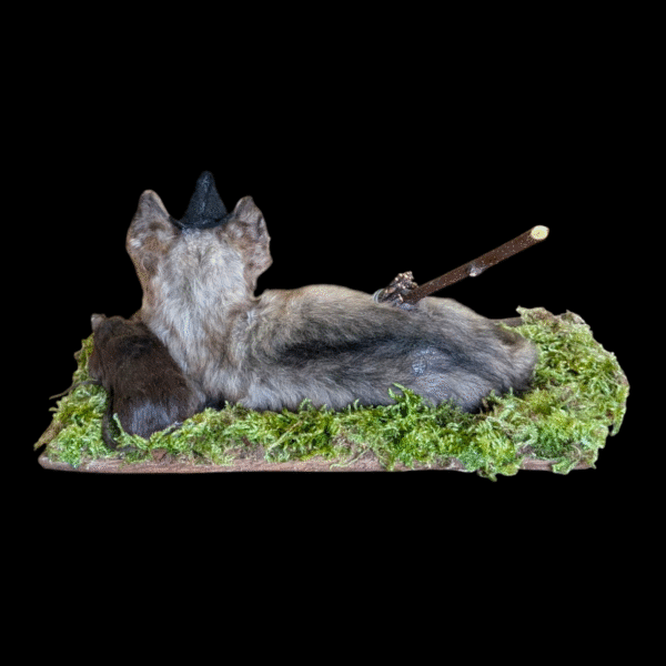 Taxidermy Witch's Familiar Kitten and Mouse – With Potion Bottle & Besom - Image 2