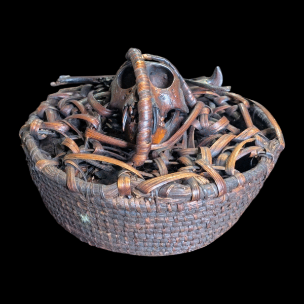 Authentic Tribal Monkey Skull Ritual Basket – Ethnographic Ceremonial Artefact