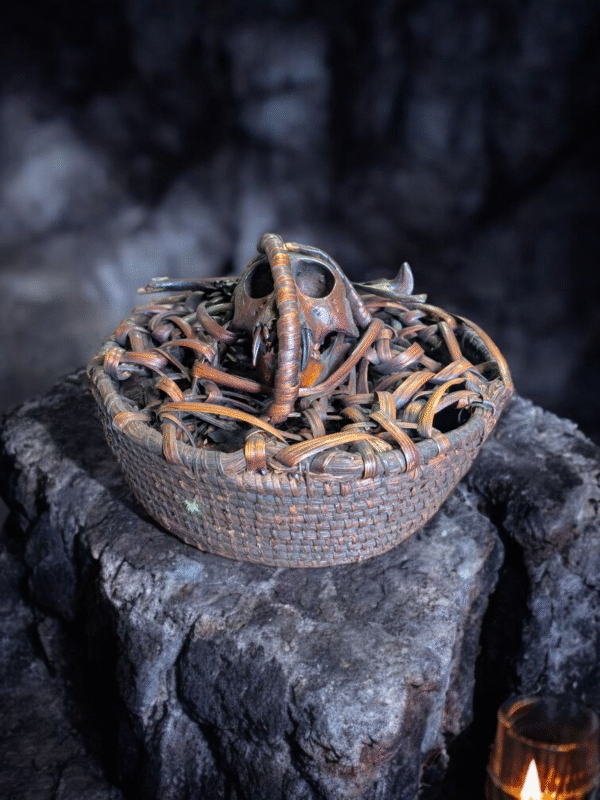 Authentic Tribal Monkey Skull Ritual Basket – Ethnographic Ceremonial Artefact - Image 4