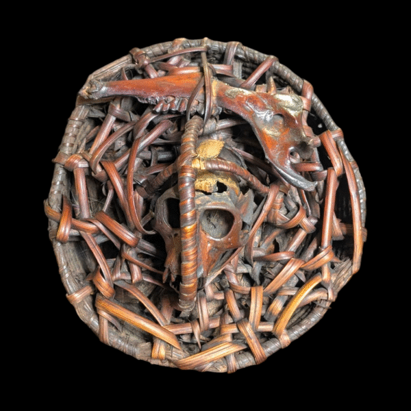 Authentic Tribal Monkey Skull Ritual Basket – Ethnographic Ceremonial Artefact - Image 2