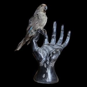 Hand-Painted Ceramic Hand Sculpture with Perched Parrot – Symbolic Art Display