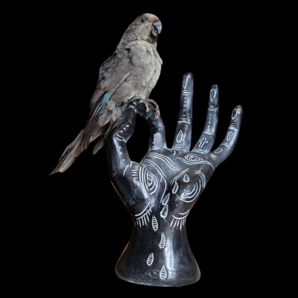 Hand-Painted Ceramic Hand Sculpture with Perched Parrot – Symbolic Art Display