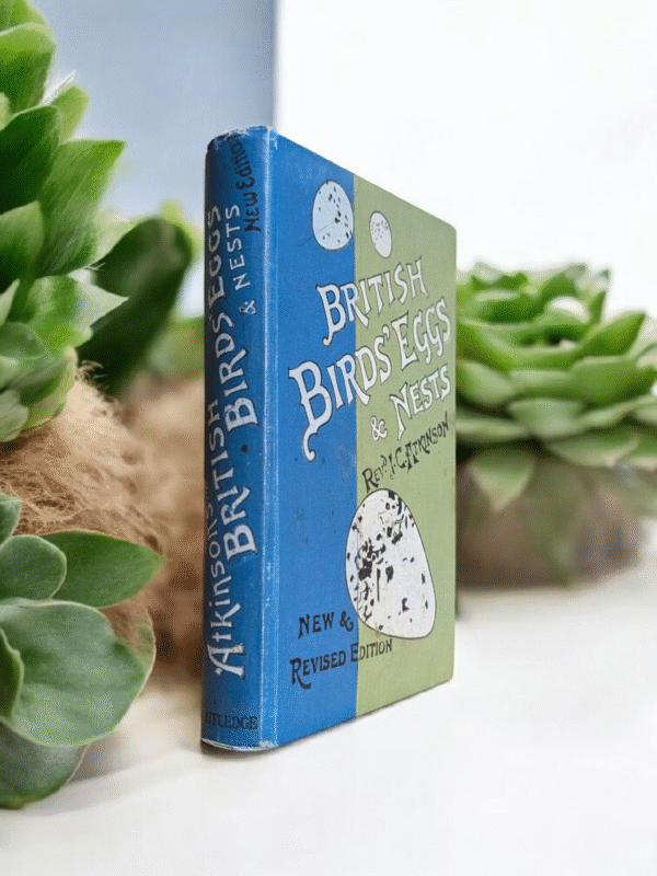British Birds' Eggs & Nests by Rev. Canon Atkinson – New & Revised Edition - Image 3