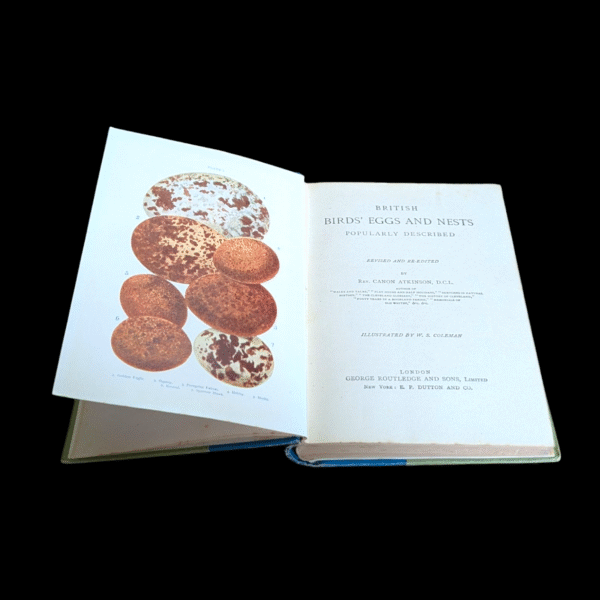 British Birds' Eggs & Nests by Rev. Canon Atkinson – New & Revised Edition - Image 2