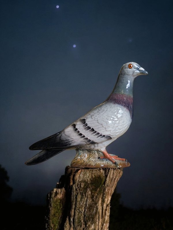 Beswick Pigeon - Image 2