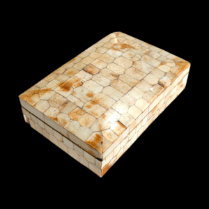 Indian Brass Box Veneered With Bone