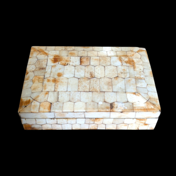 Indian Brass Box Veneered With Bone - Image 4