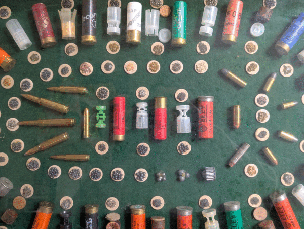 Shot Gun Shell Display In Glass Case - Image 3