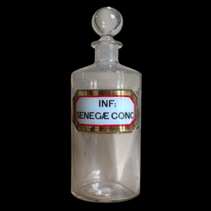 Victorian Inf: Senegae Conc Apothecary Bottle