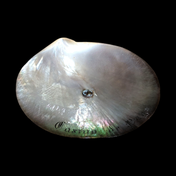 19th Century French Mother Of Pearl Country Casino Dish - Image 2