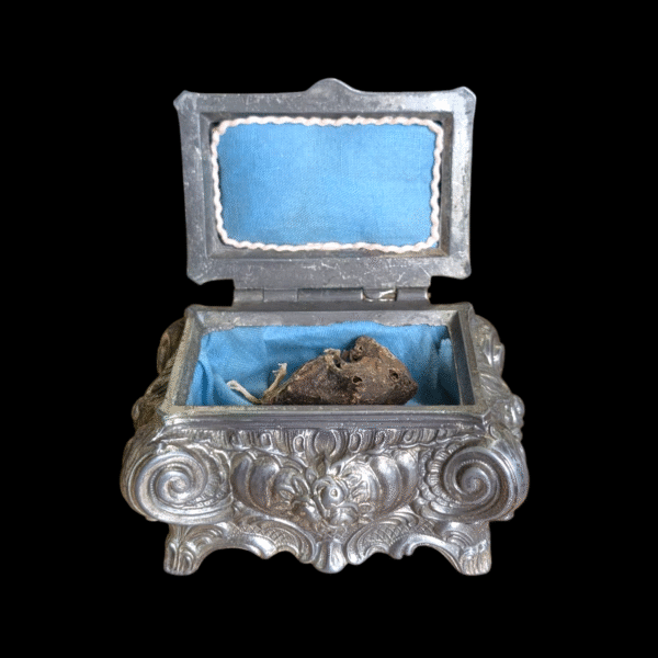 Mummified Mouse In Silver Plate Casket - Image 2