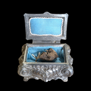 Mummified Mouse In Silver Plate Casket